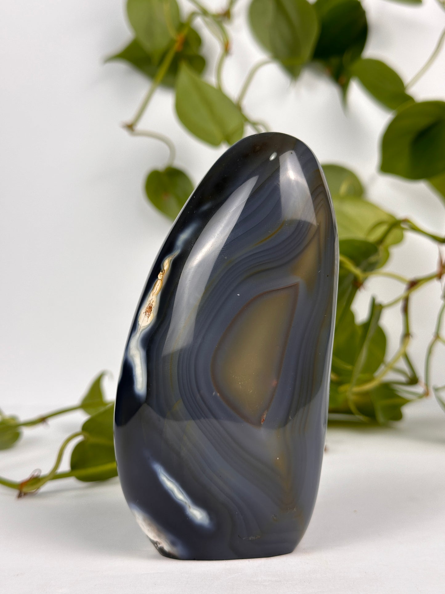 Orca Agate Freeform - Large