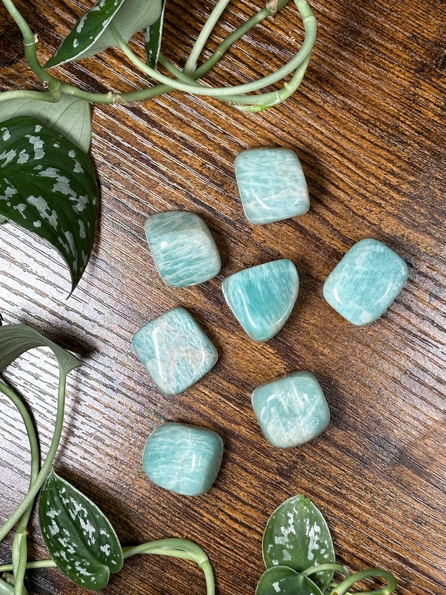 Amazonite Tumbled Stones