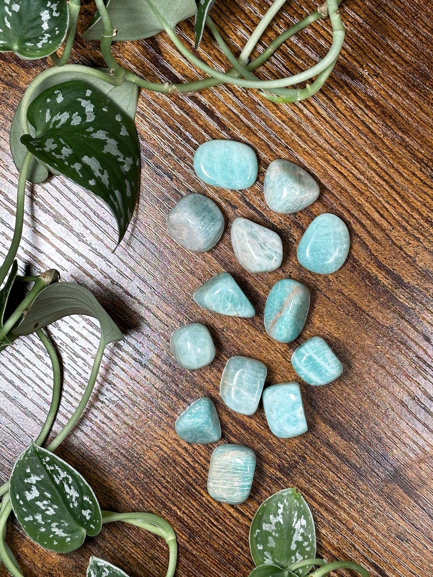 Amazonite Tumbled Stones