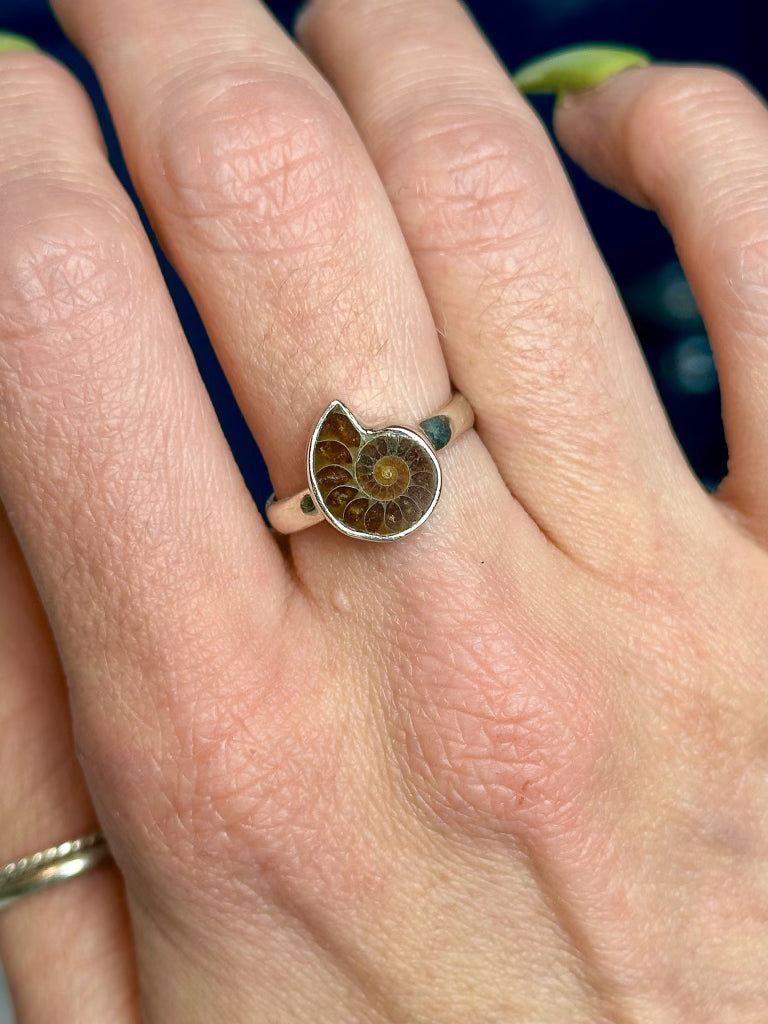 Ammonite Ring - .925 Sterling Silver